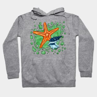 Bright star fish and shell, summer beach Hoodie